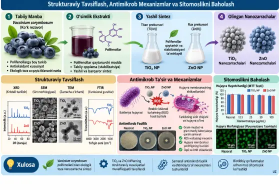 Vaccinium corymbosum Manbali Polifenollar bilan TiO₂ va ZnO Nanozarrachalarining Yashil Sintezi