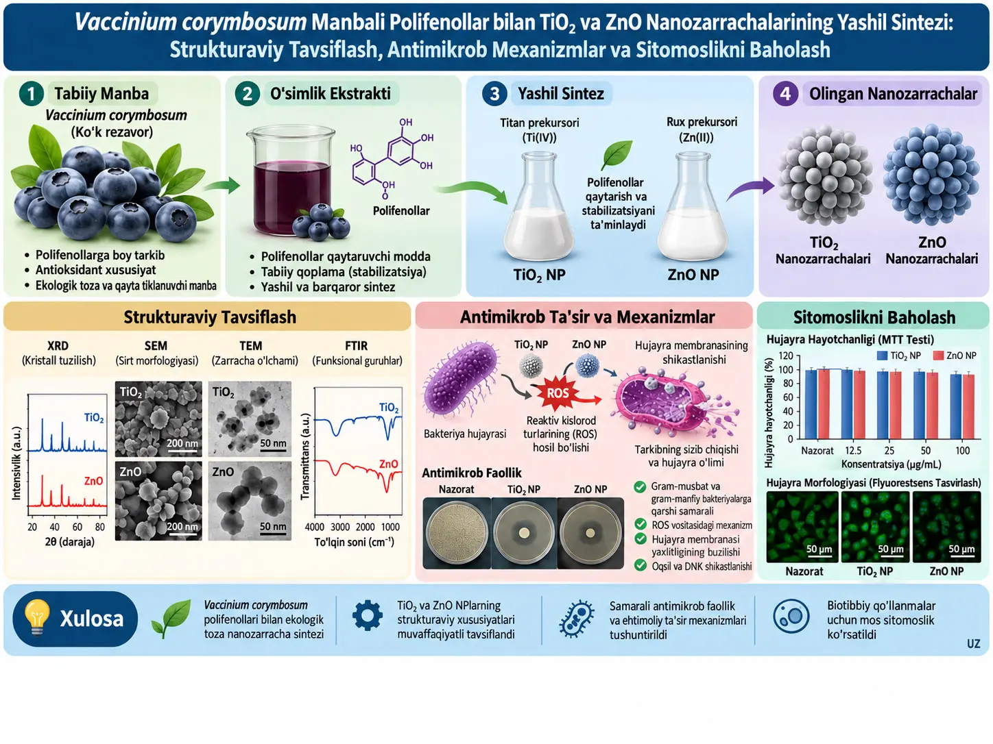 Vaccinium corymbosum Manbali Polifenollar bilan TiO₂ va ZnO Nanozarrachalarining Yashil Sintezi