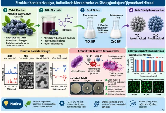 Vaccinium corymbosum Mənbəli Polifenollarla TiO₂ və ZnO Nanohissəciklərinin Yaşıl Sintezi