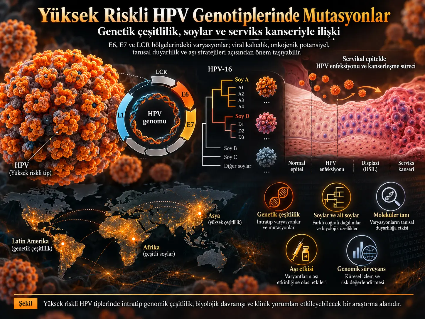 Yüksək Riskli İnsan Papillomavirusu (HPV) Genotiplərində Mutasiyalar: Genetik Müxtəliflik və Uşaqlıq Boynu Xərçəngi ilə Əlaqəsi