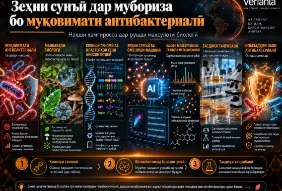 Зеҳни Сунъӣ дар Мубориза бо Муқовимати Зиддибактериявӣ: Нақши Ҳамгироии Он дар Таҳияи Маҳсулоти Биоасос