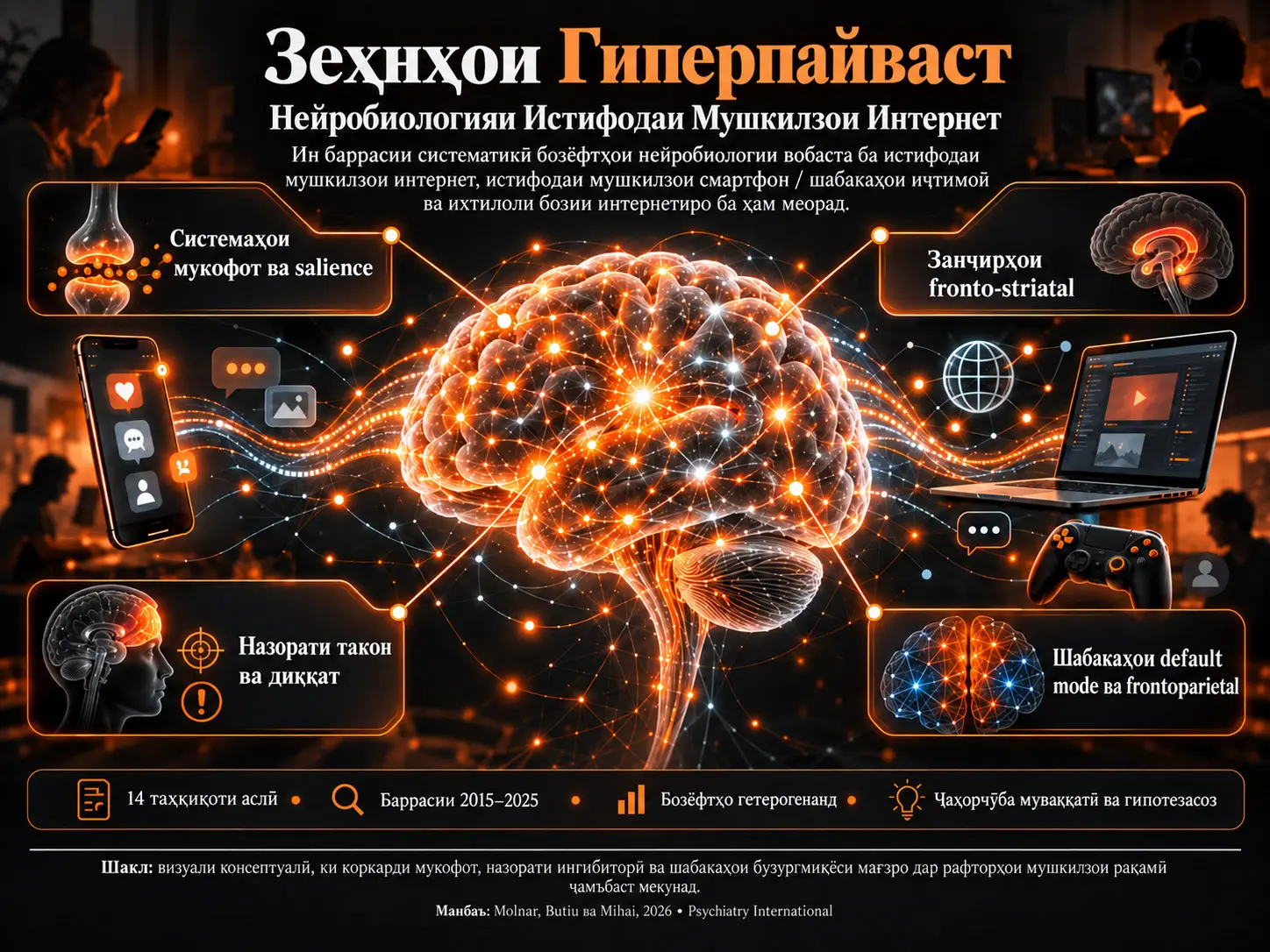 Зеҳнҳои Гиперпайваст: Баррасии Систематикӣ оид ба Нейробиологияи Истифодаи Мушкилзои Интернет