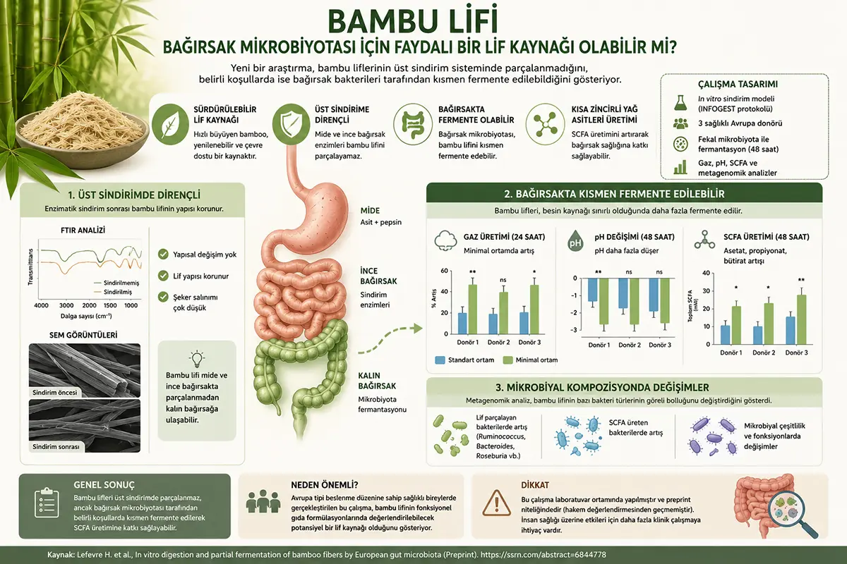 Bambu tolasi ichak mikrobiotasi uchun foydali tol manbai bo'lishi mumkinmi?