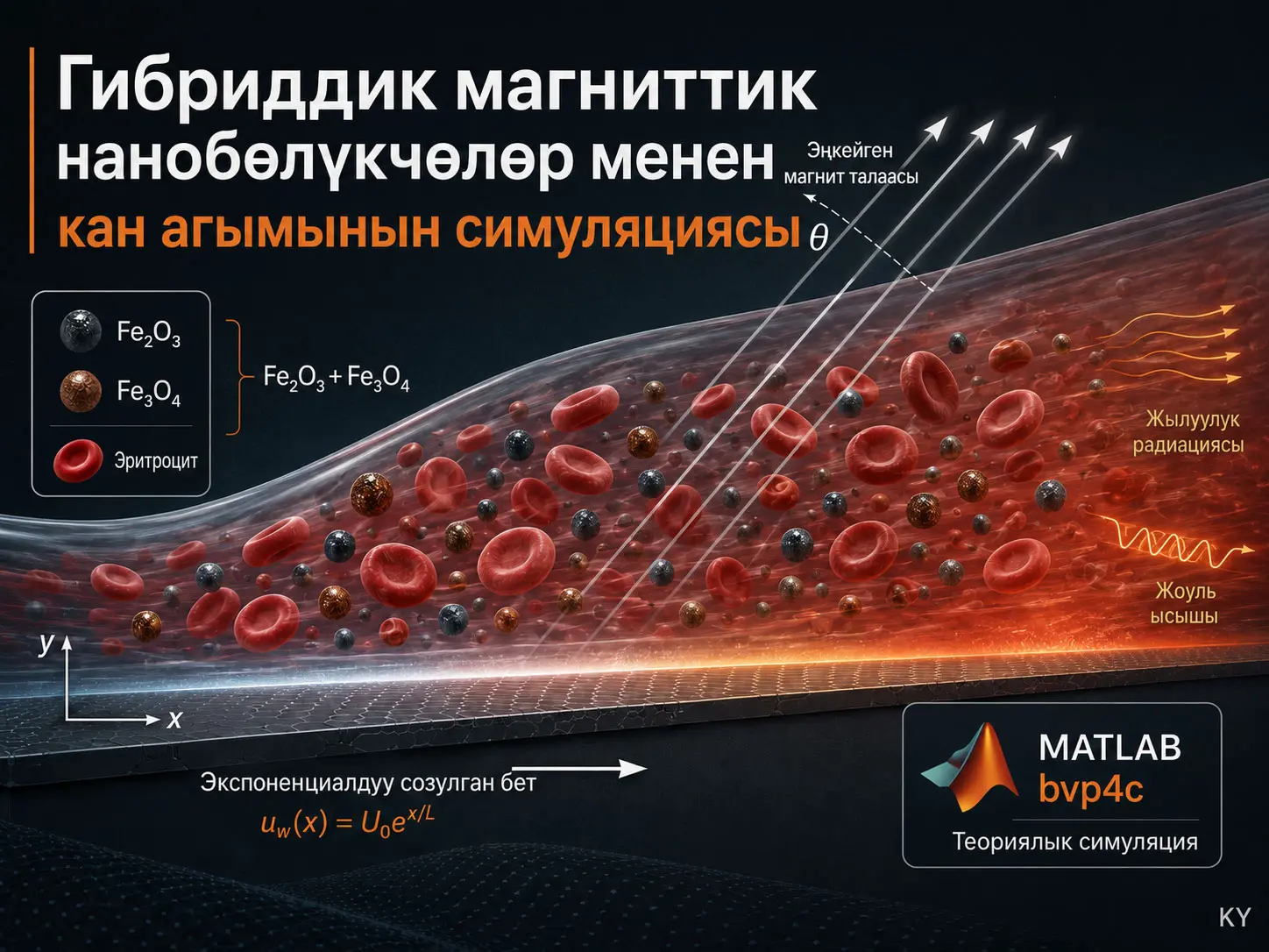 Гибриддик магниттик нанобөлүкчөлөр менен кан агымынын жүрүм-турумун MATLABда симуляциялоо