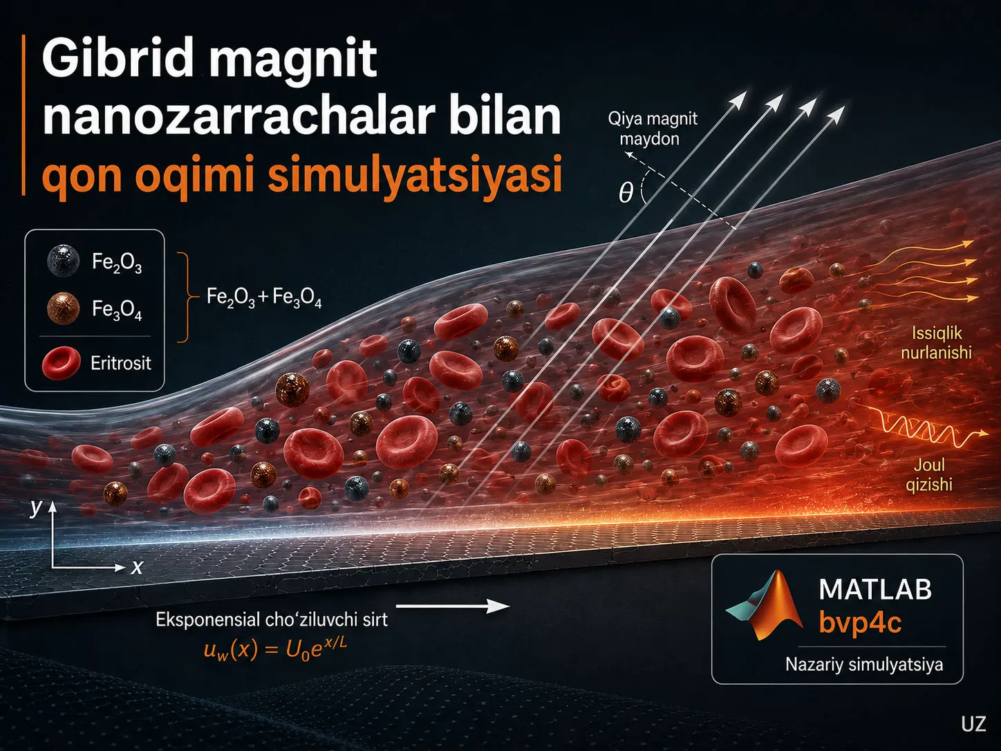Gibrid Magnit Nanozarrachalar Bilan Qon Oqimi Xatti-harakatining MATLAB Simulyatsiyasi