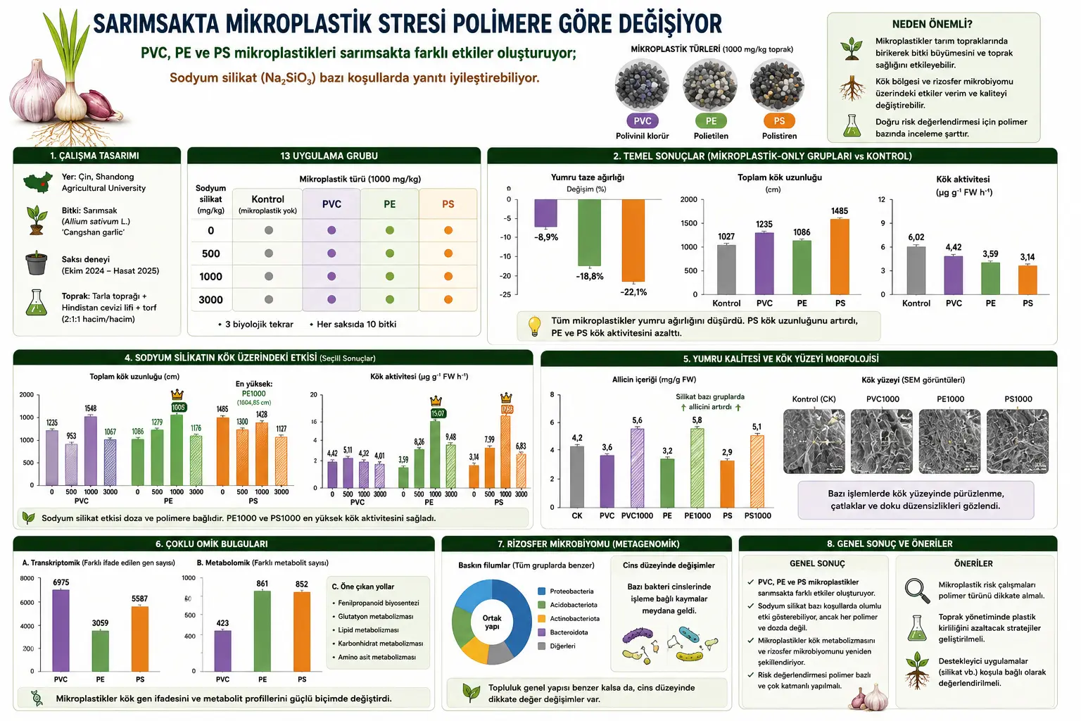 Sarimsoqda Mikroplastik Stressi: PVC, PE va PS Bir Xil Ta’sir Ko‘rsatmaydi