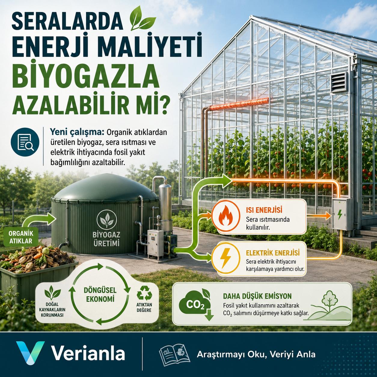 Issiqxonalarda energiya xarajatlarini biogaz kamaytira oladimi? Yangi tadqiqot chiqindidan energiya modelini o‘rgandi